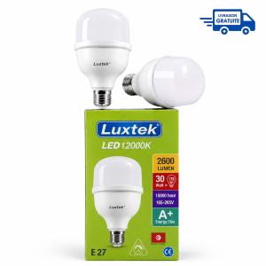 Ampoules LED Luxtek 30W 12000K – Pack de 2