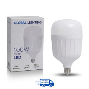 Ampoule LED 100W 6500K avec Garantie
