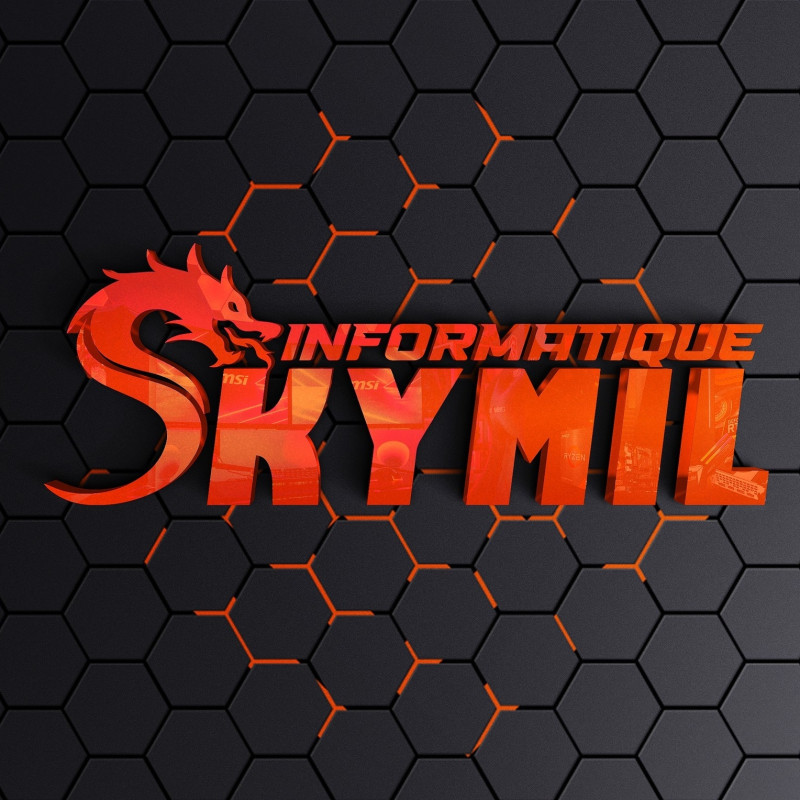 SKYMIL INFORMATIQUE