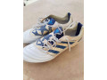 crampons-adidas-predator-small-1