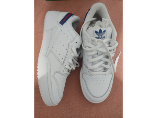 Adidas original homme