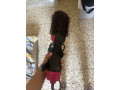 brosse-small-0