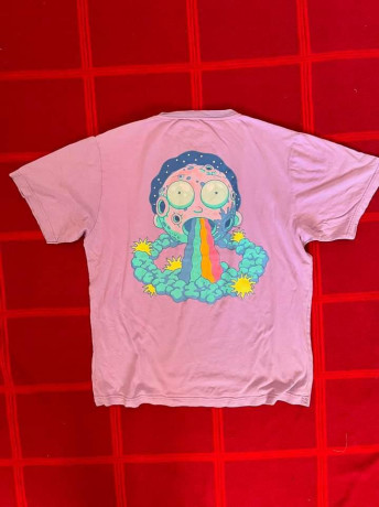 te-shirt-rickmorty-big-0