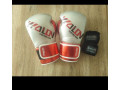 gants-de-boxes-disponibles-a-nabeul-small-0