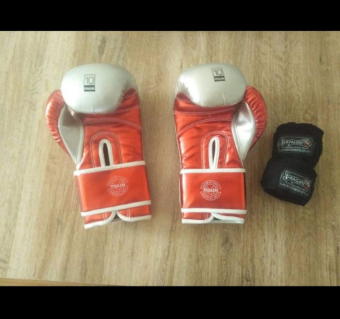 gants-de-boxes-disponibles-a-nabeul-big-1